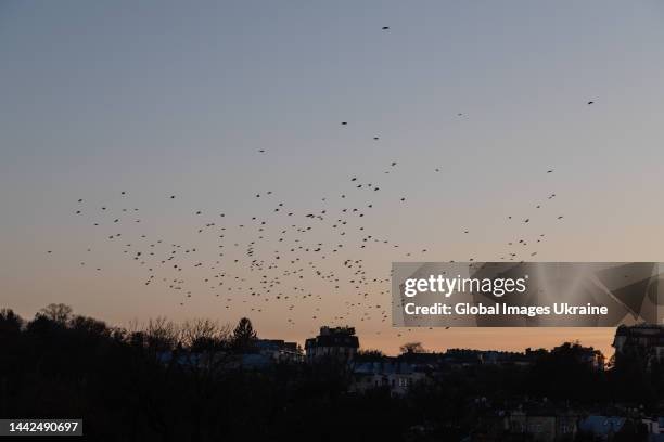 Birds frightened by missile explosions fly over the dark, blackout city on November 15, 2022 in Lviv, Ukraine. On Tuesday, November 15, the Russian...