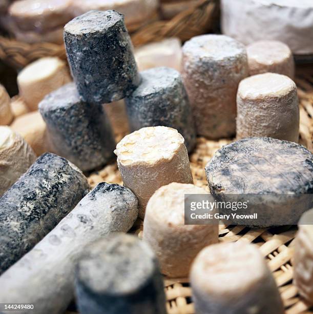 display of goat's cheese in a shop - queso de cabra fotografías e imágenes de stock