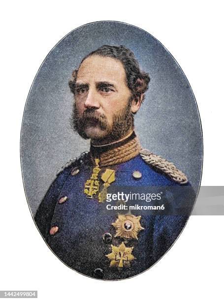 portrait of christian ix of denmark, king of denmark from 1863 until his death in 1906 - ix stock pictures, royalty-free photos & images
