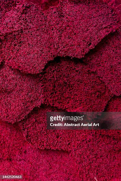 side on shot showing stacks of incense sticks, hanoi, vietnam - maroon stock pictures, royalty-free photos & images