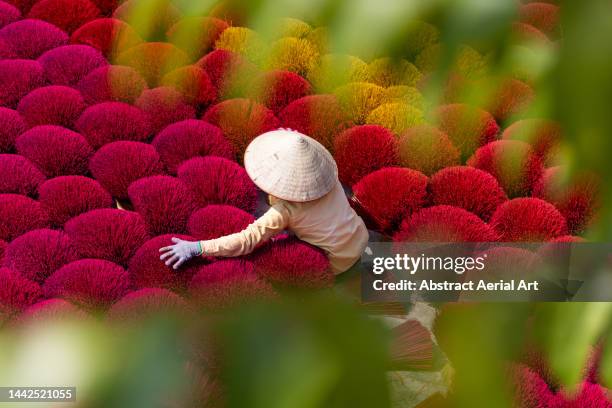 composed image showing bundles of incense being arranging by a vietnamese woman to dry in the sun, hanoi, vietnam - imperial system fotografías e imágenes de stock