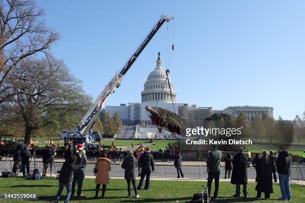 The U.S. Capitol Christmas Tree is unloaded and moved into position on the grounds of the U.S. Capitol on November 18, 2022 in Washington, DC. This...