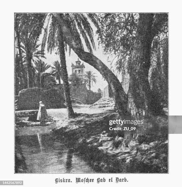 Tirage Albuminé Vintage Algérie Biskra - Circa 1880, Format 26.5x18.5 Cm, épreuve Originale