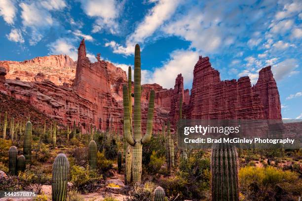 fisher towers saguaro cactus composition - saguaro cactus stock pictures, royalty-free photos & images