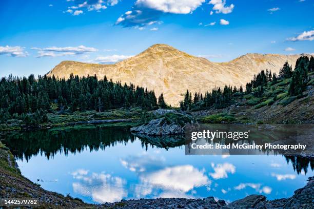 sunlit mountains and high mountain lake - buena vista stock pictures, royalty-free photos & images