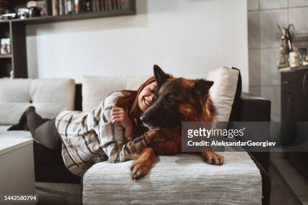 smiling female embracing and petting her german shepherd dog at home - german shepherd sitting stock pictures, royalty-free photos & images