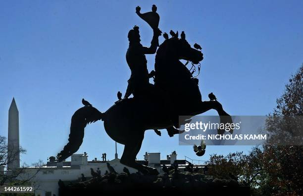 Pigeons are perched on a statue of seventh US president Andrew Jackson in Washington's Lafayette Park in front of the White House and the Washington...