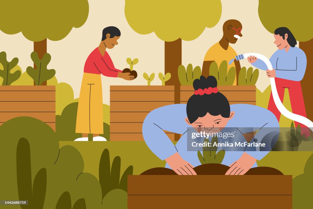 Multiracial Multigenerational Group of People Care for Plants Together in Community Garden