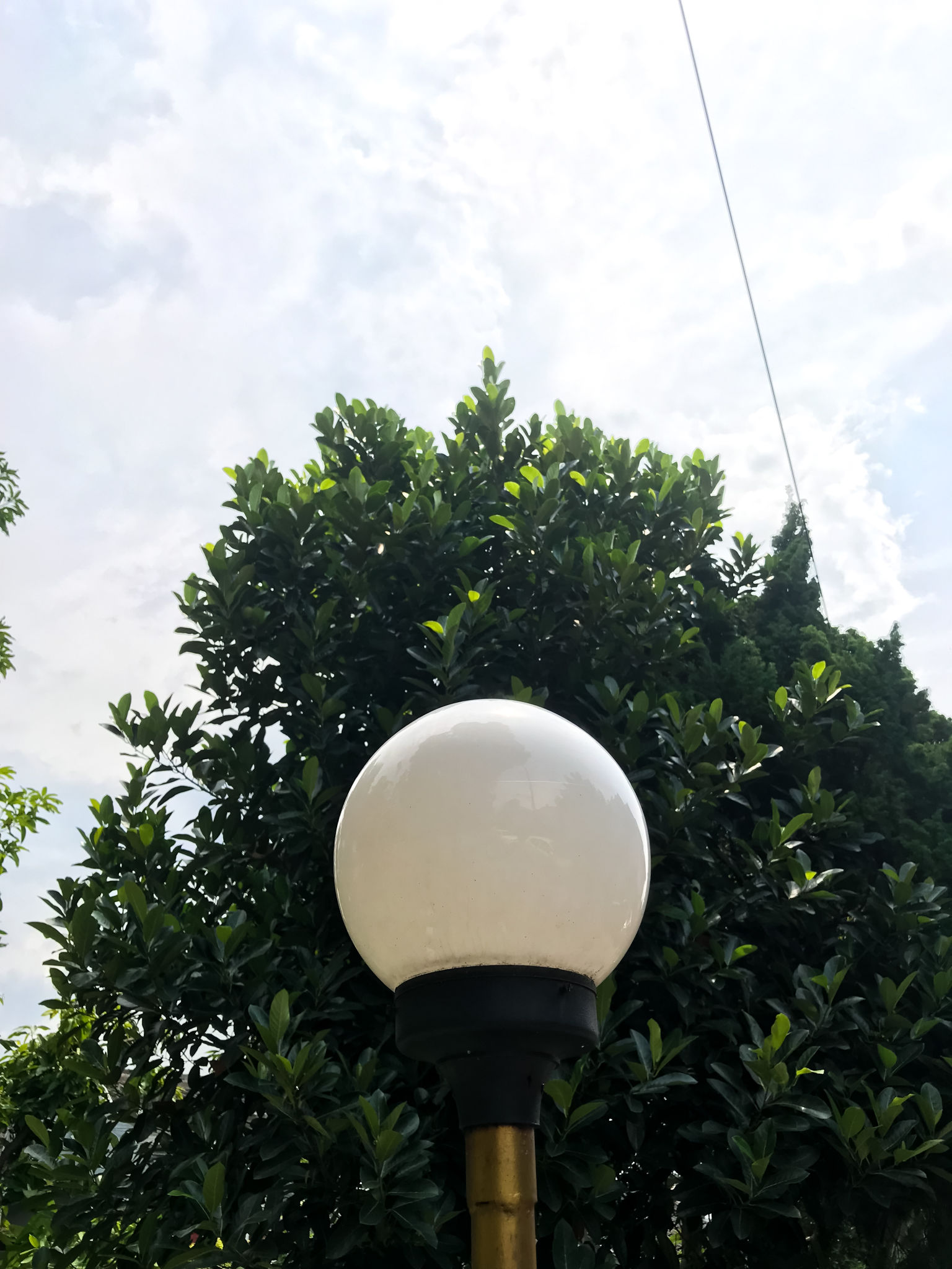 jardin paysager