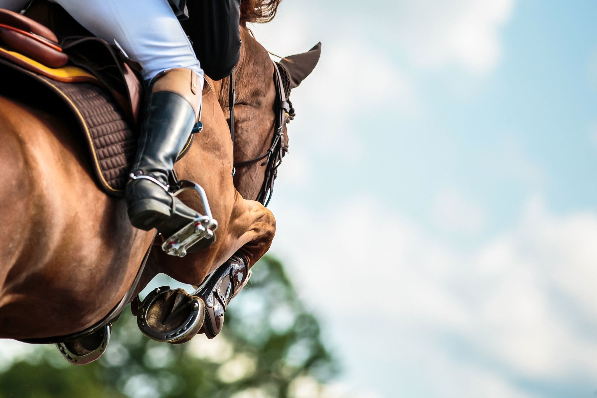equine event
