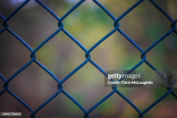 wire fence - mesh fence stock pictures, royalty-free photos & images