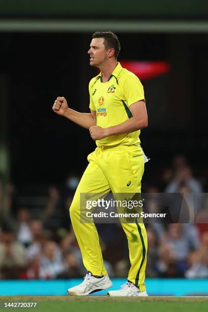 Josh Hazlewood of Australia celebrates dismissing eejduring Game 2 of the One Day International series between Australia and England at Sydney...