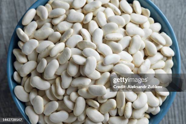 dried white beans in a blue ceramic plate on the background of a wooden kitchen table. vegetarian and vegan food and diet. cooking, home life. harvesting. growing organic farm products. vegetable protein. - pinto bean 個照片及圖片檔