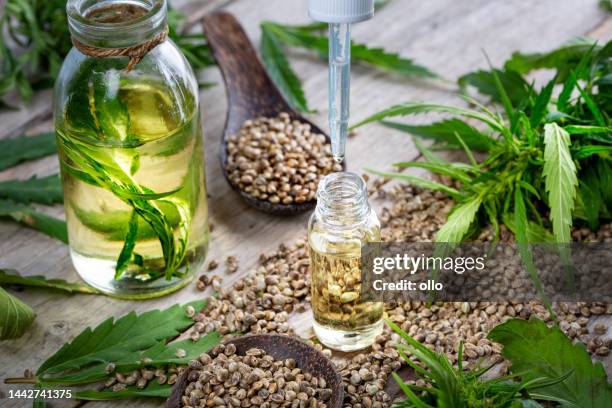 hemp seed in wooden spoons and oil on rustic wooden table - cbd leaf stock pictures, royalty-free photos & images