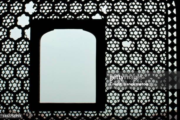 moucharabieh ( india) - amer fort stock pictures, royalty-free photos & images