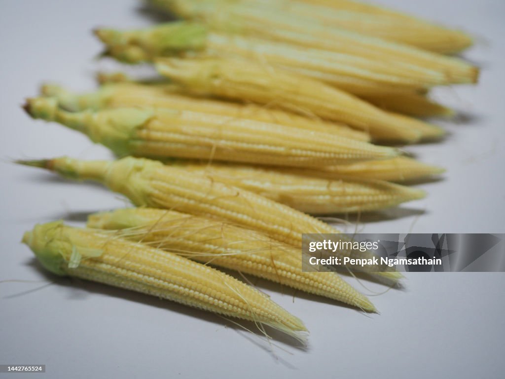 Baby corn on white background
