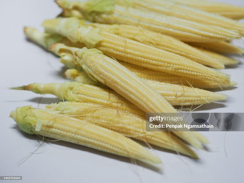 Baby corn on white background