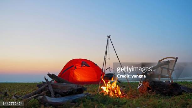 outdoor camping bonfire barbecue - camping at night stockfoto's en -beelden