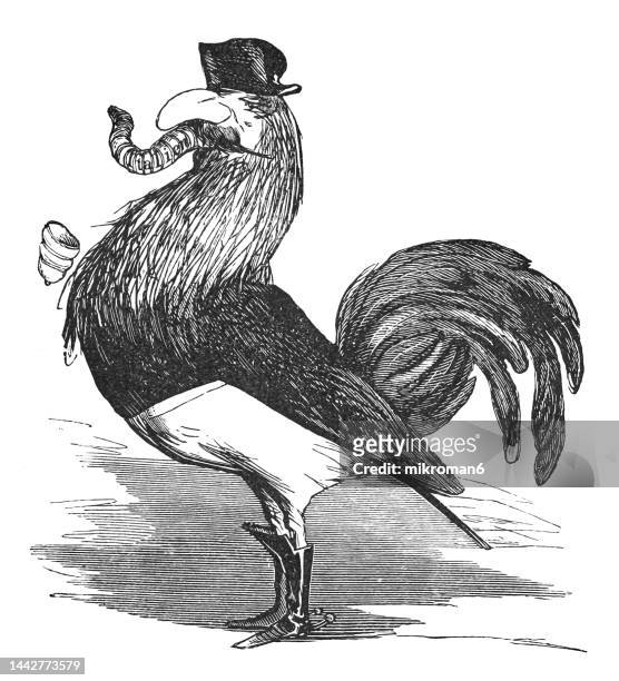 old engraved satirical drawing of a mockery of the french annexation of savoy and migas - treaty of turin (1860) - funny rooster ストックフォトと画像
