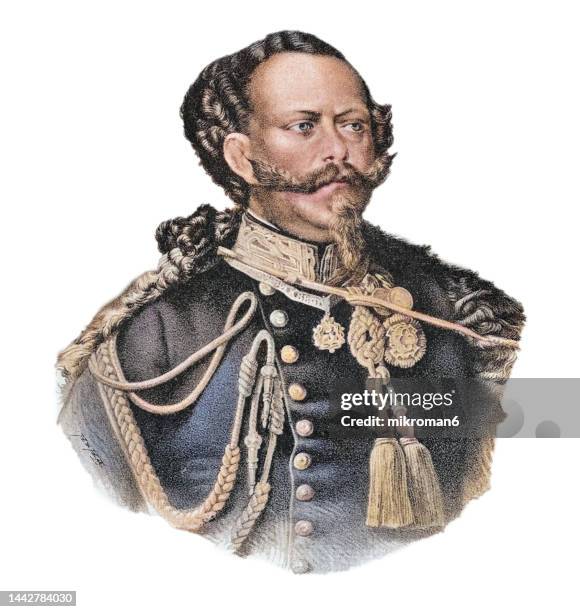 portrait of king of italy victor emmanuel ii, first king of an independent, united italy since the 6th century - vittorio emanuele ii di savoia foto e immagini stock
