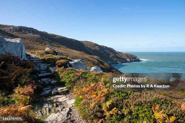 coast path between holyhead and north stack, anglesey, north wales - north wales stock-fotos und bilder