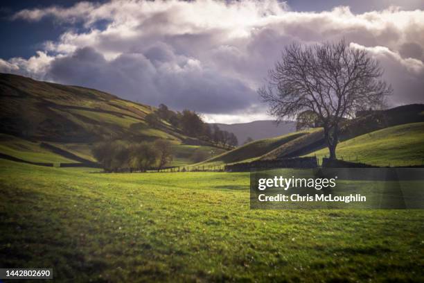 keld in the yorkshire dales - pennines stockfoto's en -beelden