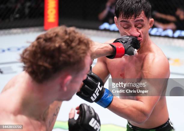 Brady Hiestand punches Fernie Garcia in a flyweight fight during the UFC Fight Night event at UFC APEX on November 19, 2022 in Las Vegas, Nevada.