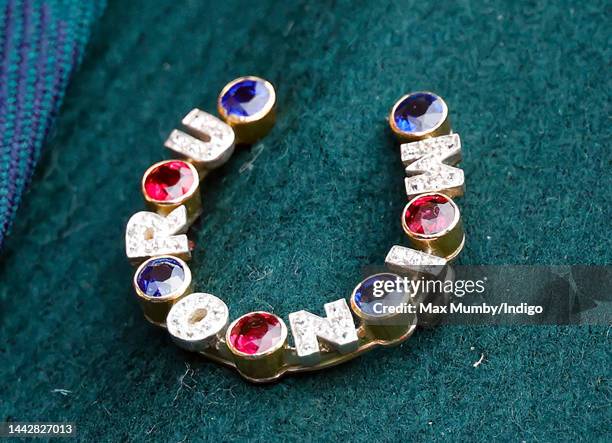 Camilla, Queen Consort attends Ascot's November Racing Weekend at Ascot Racecourse on November 19, 2022 in Ascot, England. During her visit the queen...