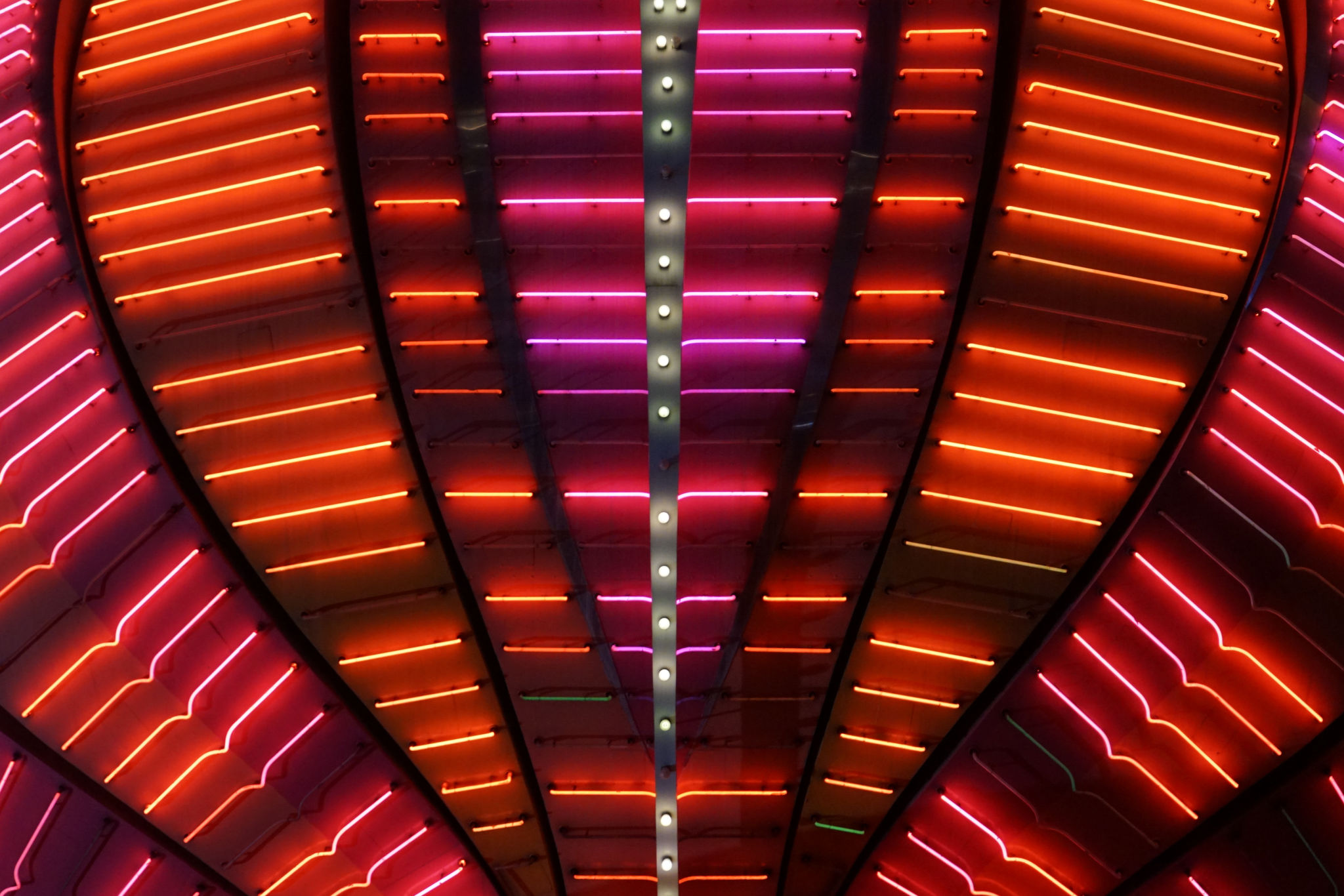 neon outdoor lights
