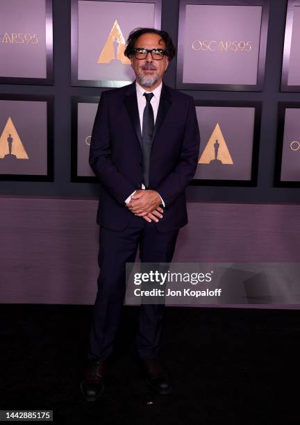 Alejandro González Iñárritu attends the Academy of Motion Picture Arts and Sciences 13th Governors Awards at Fairmont Century Plaza on November 19,...