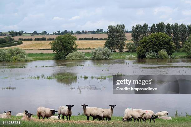 severn floods - flood uk stock pictures, royalty-free photos & images