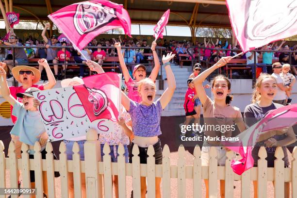 Sixers fans cheer during the Women's Big Bash League match between the Sydney Sixers and the Hobart Hurricanes at North Sydney Oval, on November 20...