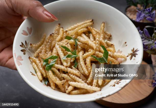 the deep-fried white bamboo worms - maggot stock pictures, royalty-free photos & images