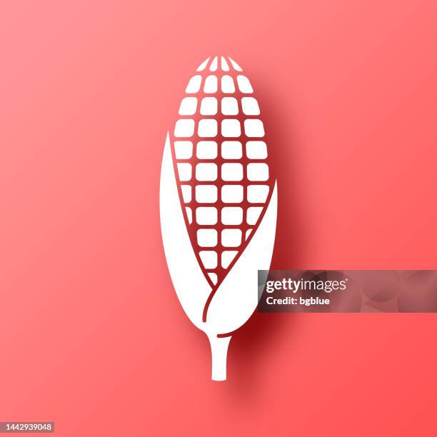 corn. icon on red background with shadow - husk 幅插畫檔、美工圖案、卡通及圖標