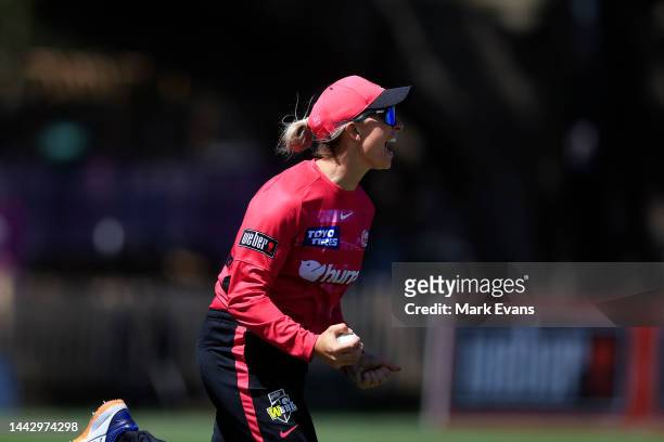Ashleigh Gardner of the Sixers celebrates a wicke during the Women's Big Bash League match between the Sydney Sixers and the Hobart Hurricanes at...