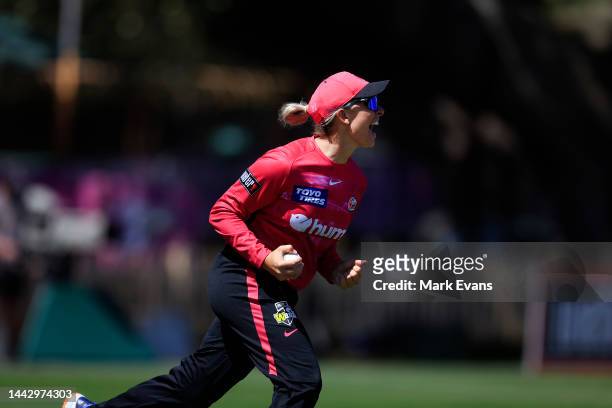 Ashleigh Gardner of the Sixers celebrates a wicke during the Women's Big Bash League match between the Sydney Sixers and the Hobart Hurricanes at...