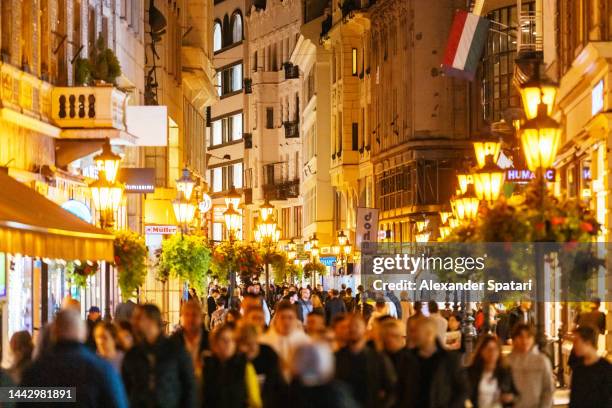 crowds of people on a shopping pedestrian street at night, budapest, hungary - budapest nightlife stock pictures, royalty-free photos & images