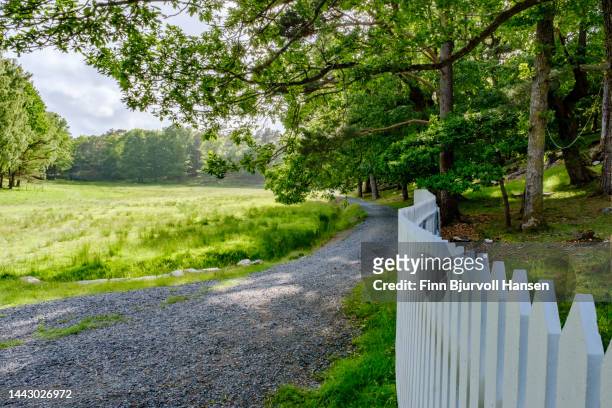 summer landscape with walkway covered with gravel. white picket fence on the side - finn bjurvoll stock pictures, royalty-free photos & images