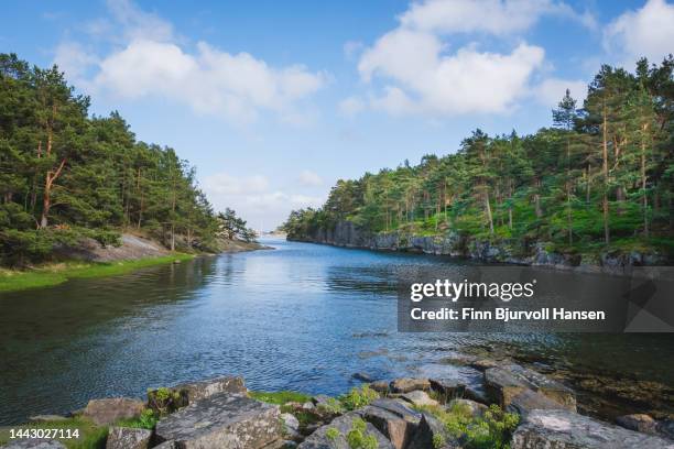 the channel at bragdøya in southern norway on a summer day - finn bjurvoll - fotografias e filmes do acervo