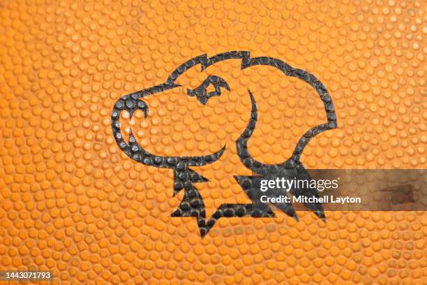 The UMBC Retrievers logo on a basketball on the floor during a college basketball game against the Princeton Tigers at Chesapeake Employers Insurance...