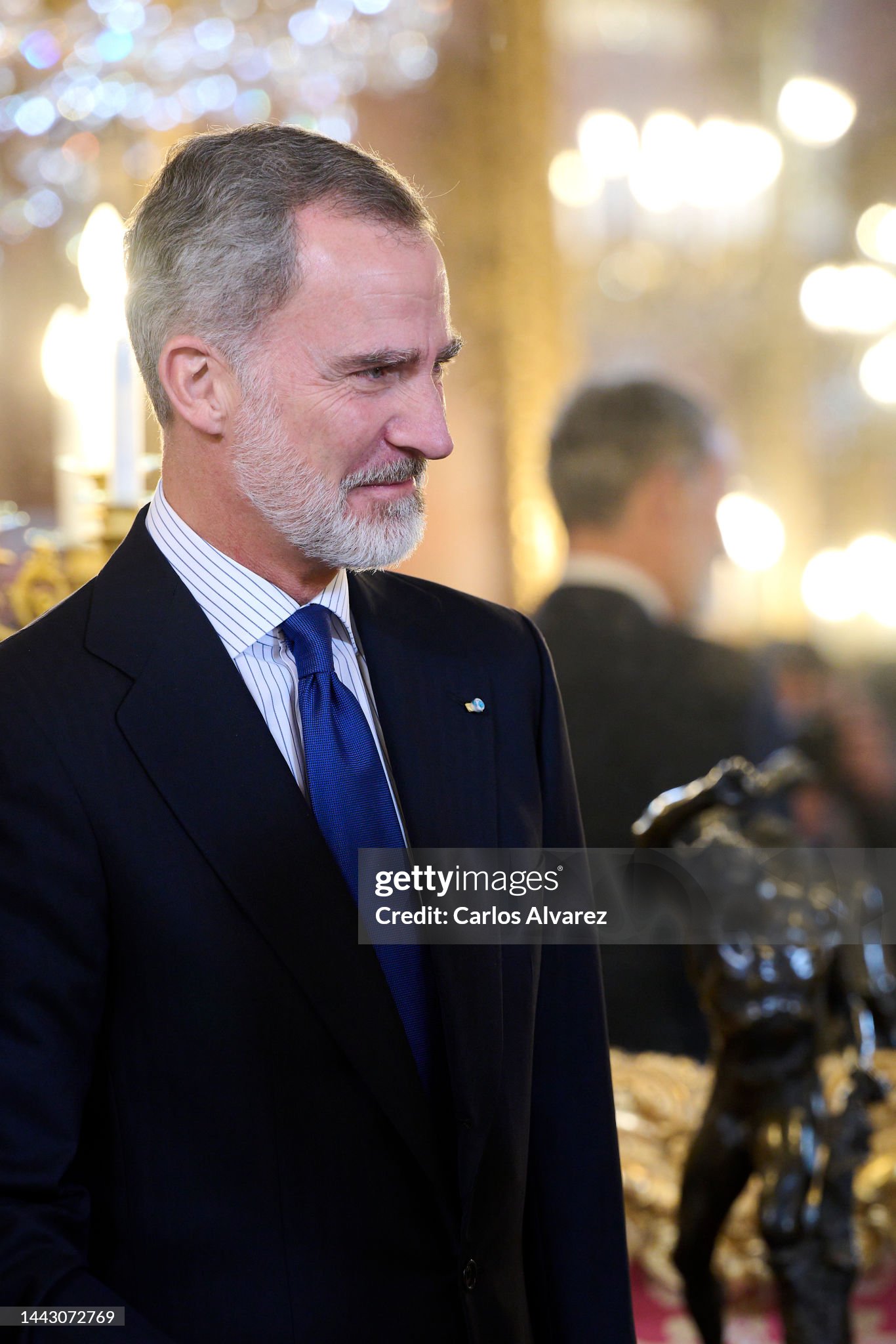 spanish-royals-attend-an-audience-with-participants-of-the-annual-session-of-the-nato.jpg?s=2048x2048&w=gi&k=20&c=Y0Qw-jupvtgd8MrX6-QRB0eIsyviEootq5LXodHuw5Y=