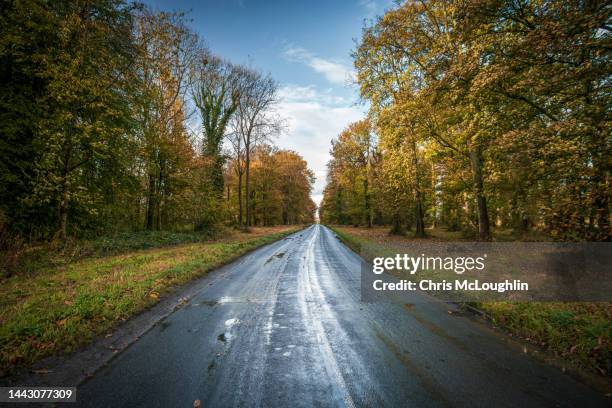 the road to castle howard - yorkshire del norte fotografías e imágenes de stock