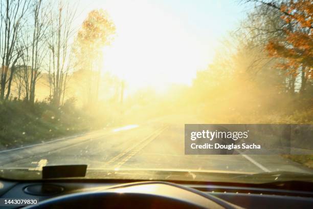 bright sun glare while driving - driving sun stock pictures, royalty-free photos & images