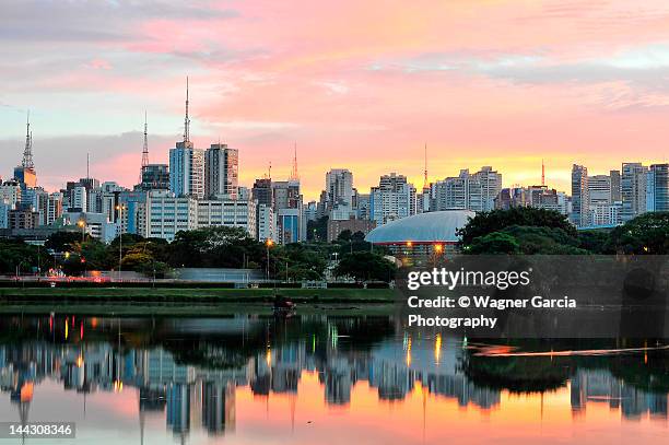 skyline with reflections on lake at sunrise - ibirapuera stock-fotos und bilder