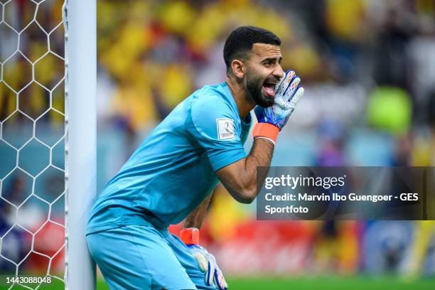 Sheeb Photos and Premium High Res Pictures - Getty Images