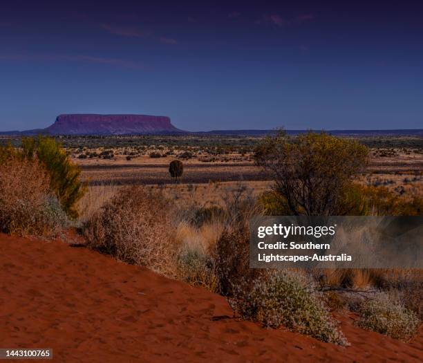 823 Central Australian Desert Stock Photos, High-Res Pictures, and ...