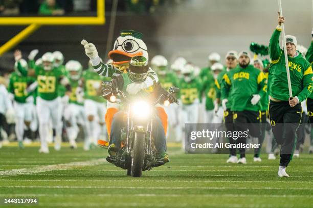 Oregon Ducks mascot Puddles rides on the back of a motorcycle before the game against the Utah Utes at Autzen Stadium on November 19, 2022 in Eugene,...