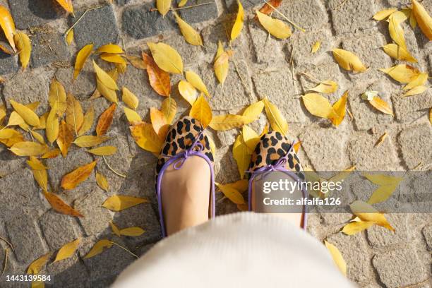 fall leaves - feet selfie woman stockfoto's en -beelden