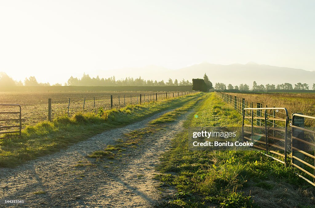 Rural driveway