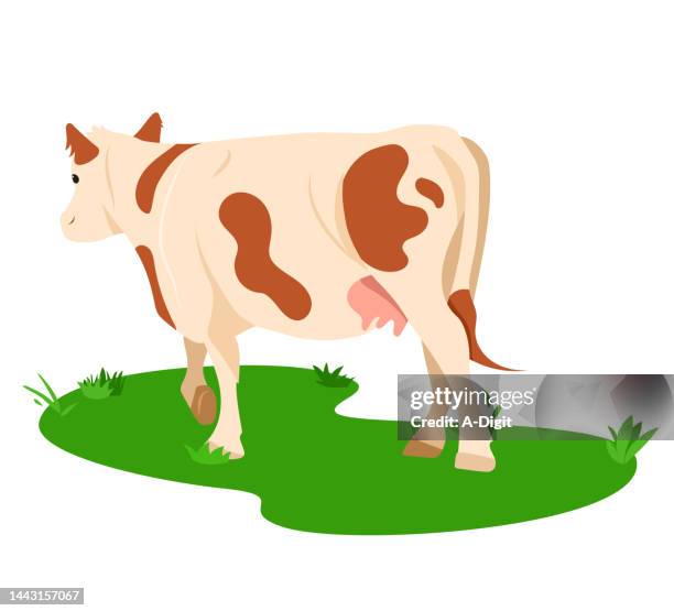 littlerunningcow - cattle grazing stock illustrations